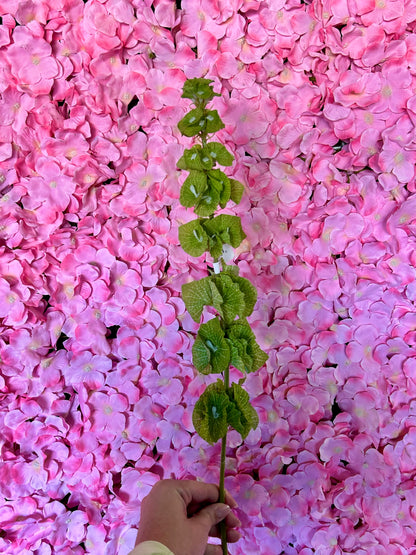 29 Inch Green Bells Of Ireland Spray