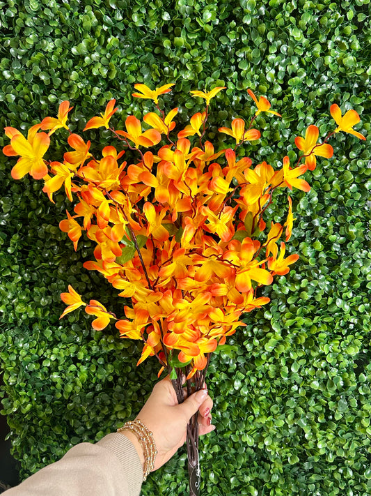 24 Inch Orange Tweedia Bush