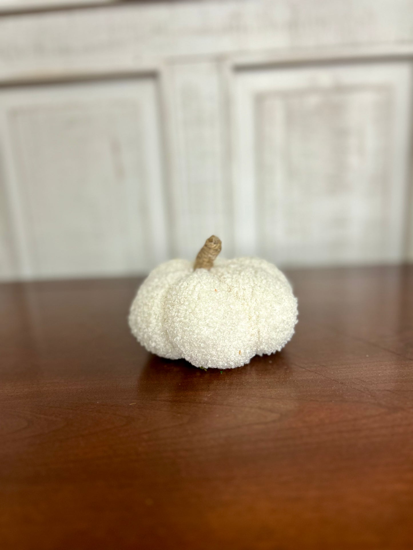 Mini Boucle Pumpkin Two Styles