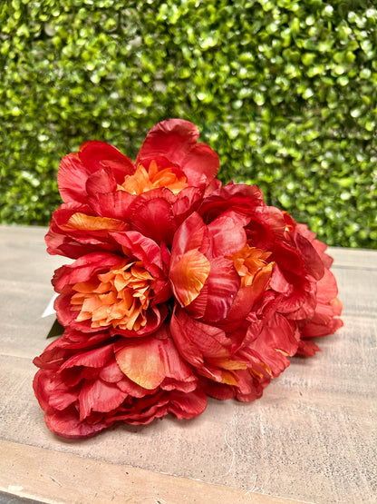 14 Inch Burgundy Peony Bush
