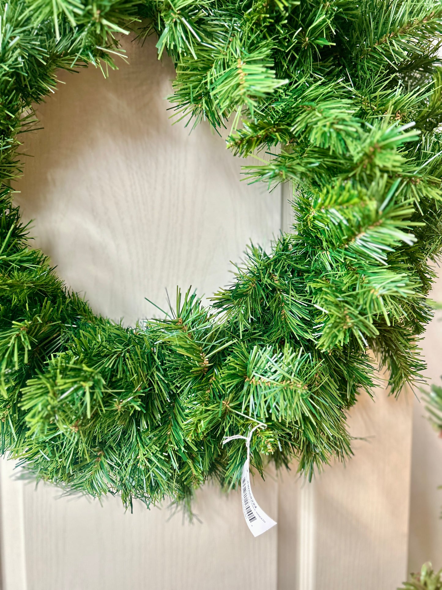 24 Inch Virginia Spruce Wreath