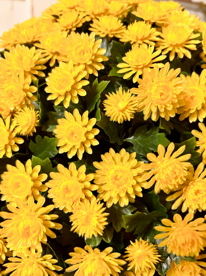 16 Inch Yellow Mum Topiary Ball
