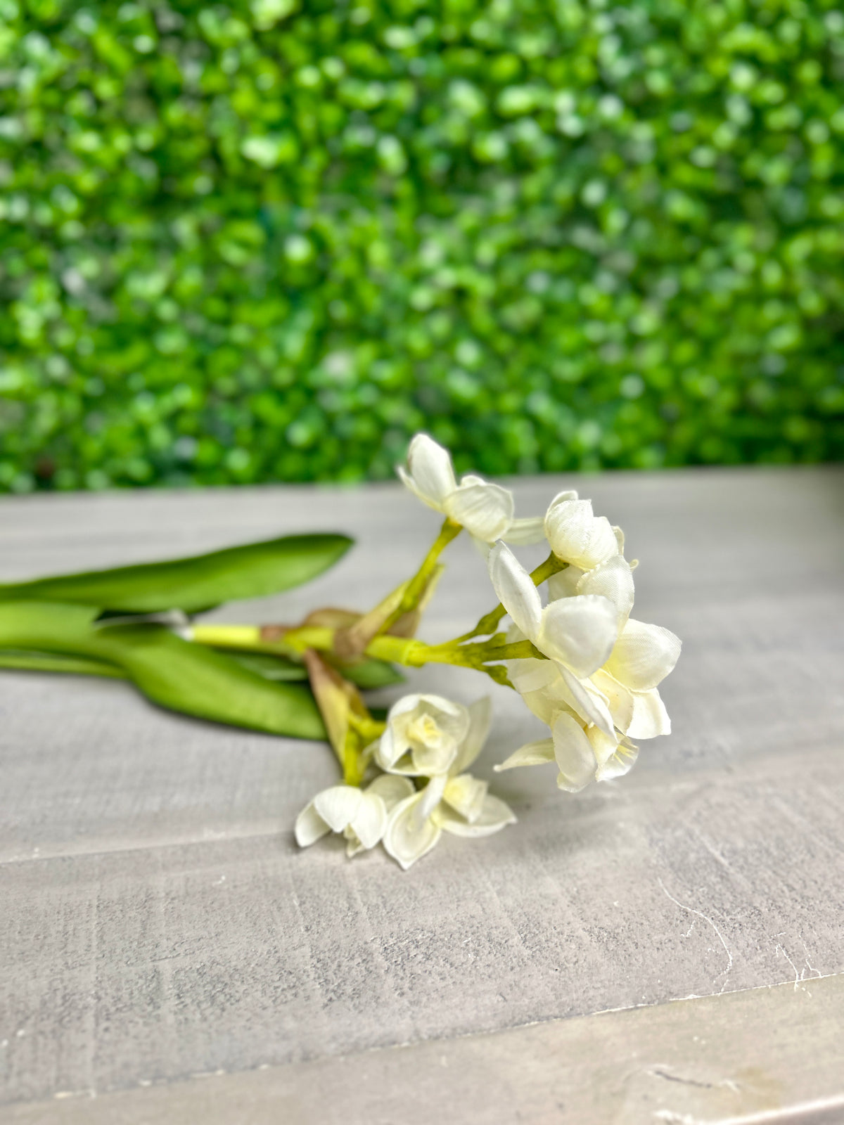 19.5 Inch White Real Touch Daffodil Bulb Pick