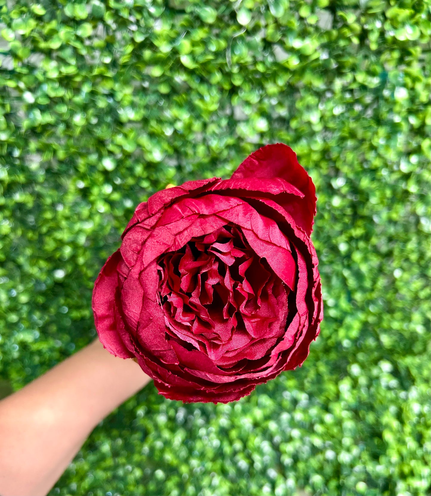 17.5 Inch Red Garden Peony Stem