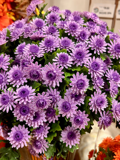 16 Inch Lavender Mum Bush Stake