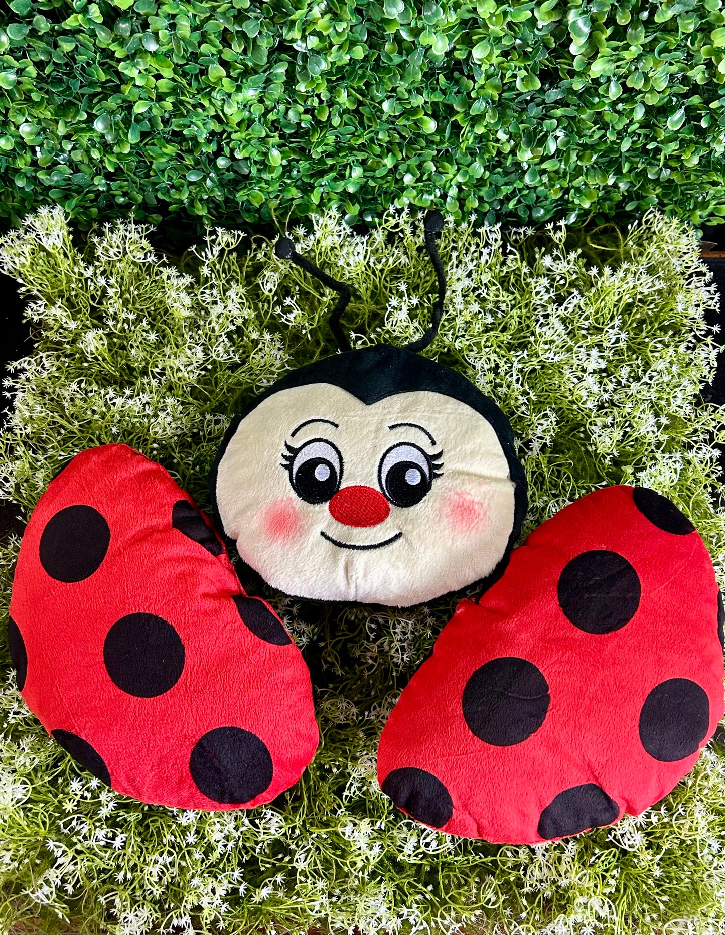 18.5 Inch Ladybug Decor Kit