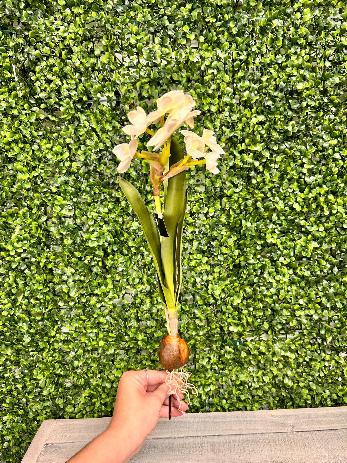 19.5 Inch White Real Touch Daffodil Bulb Pick