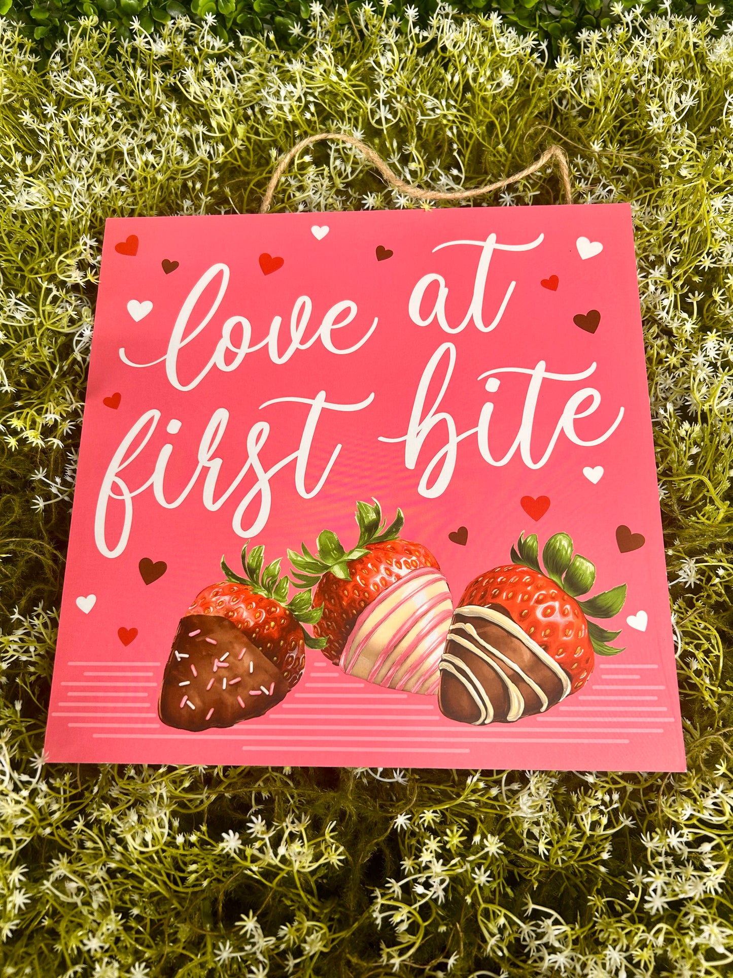 10 Inch Love At First Bite Strawberry Wood Sign