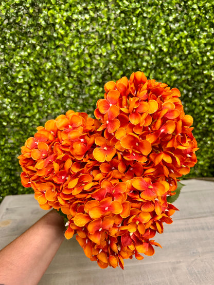 18 Inch Orange Hydrangea Bush