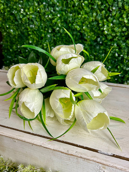 19 Inch Cream Tulip Bush