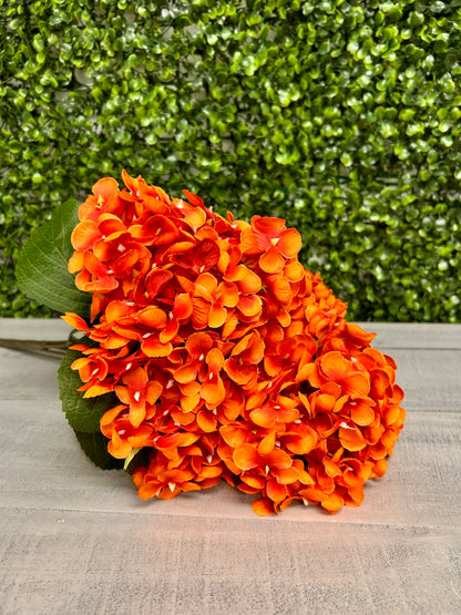 18 Inch Orange Hydrangea Bush