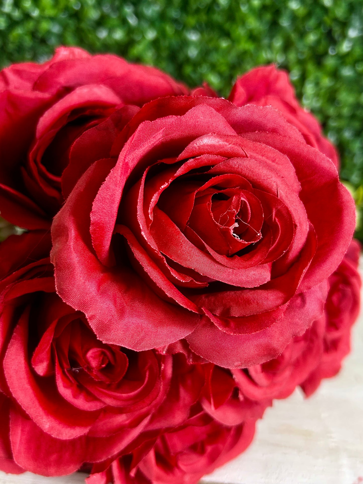 21.5 Inch Red Rose Bush