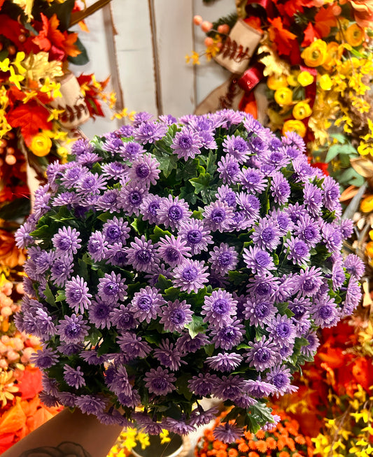 16 Inch Lavender Mum Bush Stake