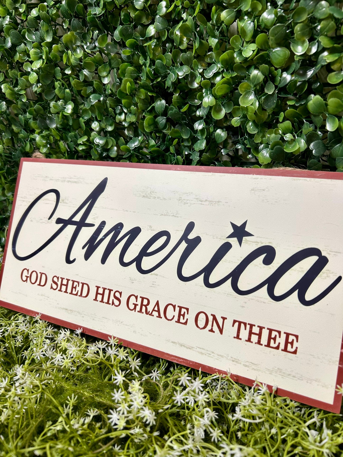 12.5 Inch America God Shed His Grace Wood Sign