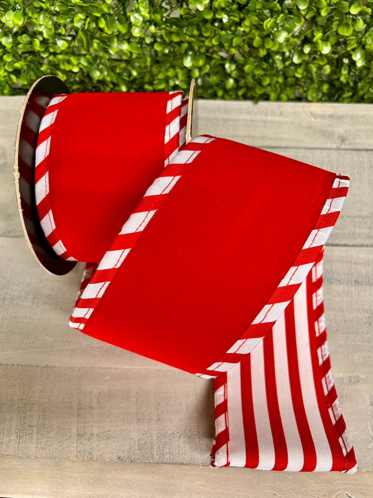 4 Inch By 5 Yard Red Velvet With White Red Cabana Sripe Ribbon