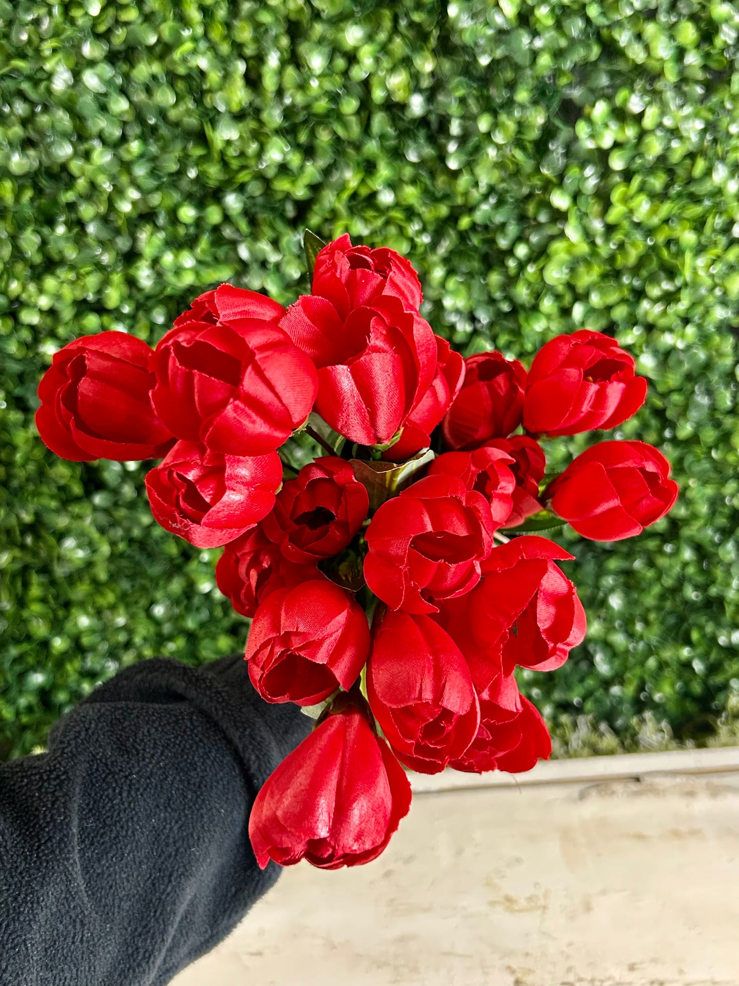 18.5 Inch Red Crocus Bush