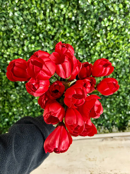 18.5 Inch Red Crocus Bush
