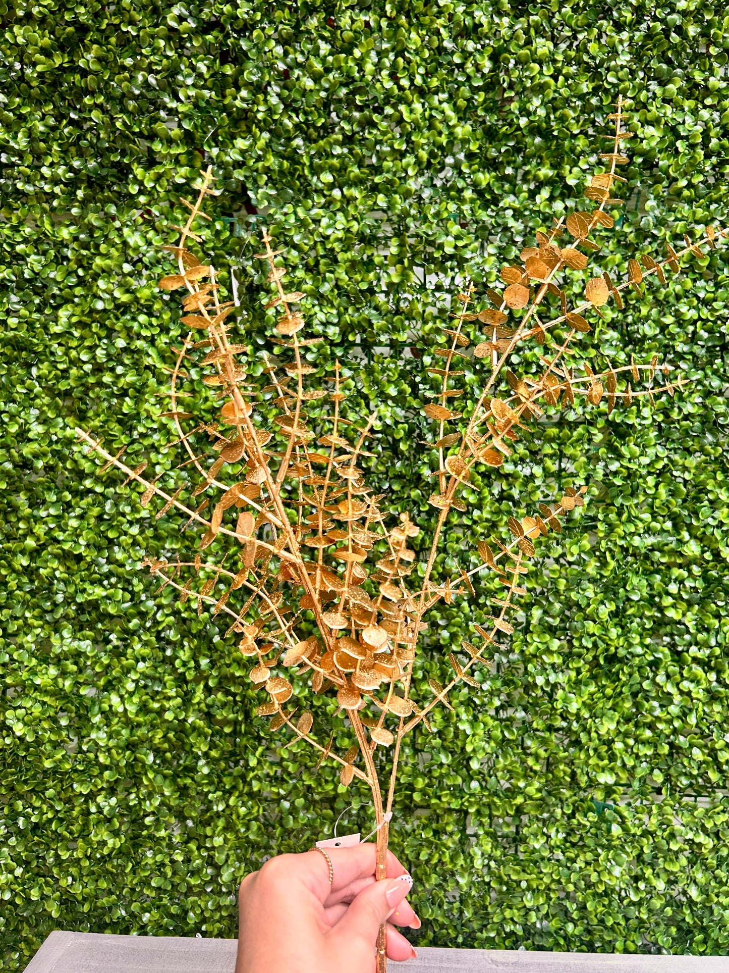 29 Inch Gold Eucalyptus Bush