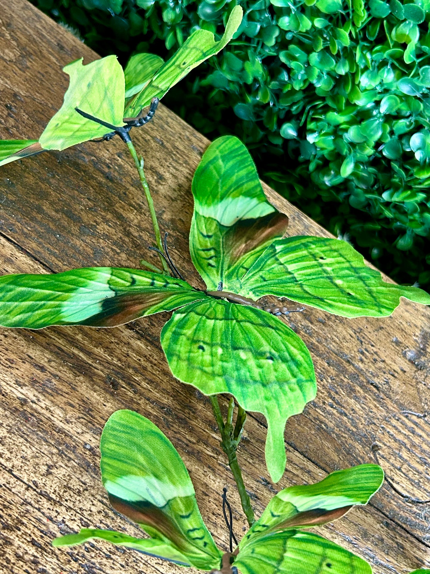 32 Inch Lime Green Butterfly Spray
