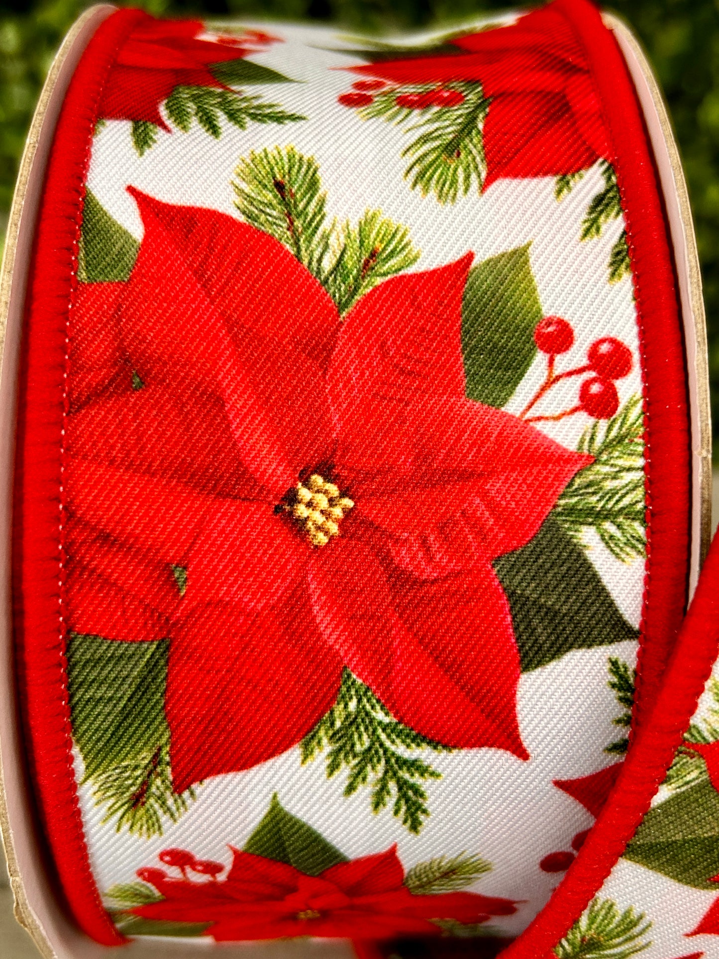 2.5 Inch By 10 Yard Poinsettia With Red And Green Check Backing Ribbon
