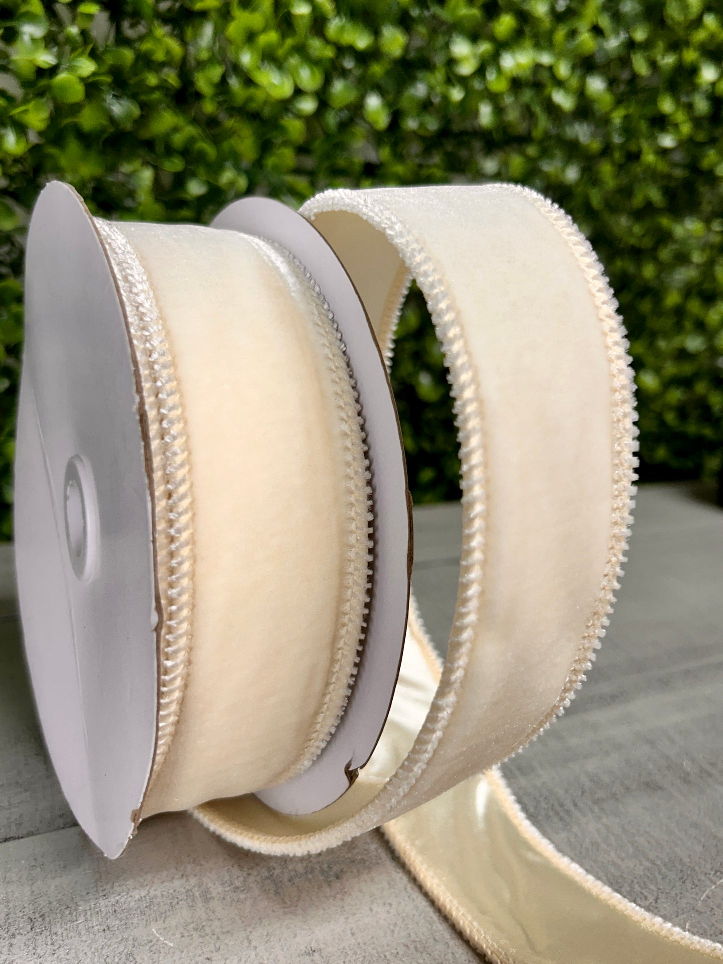 1.5 Inch By 10 Yard Cream Deluxe Velvet With Satin Backing Ribbon