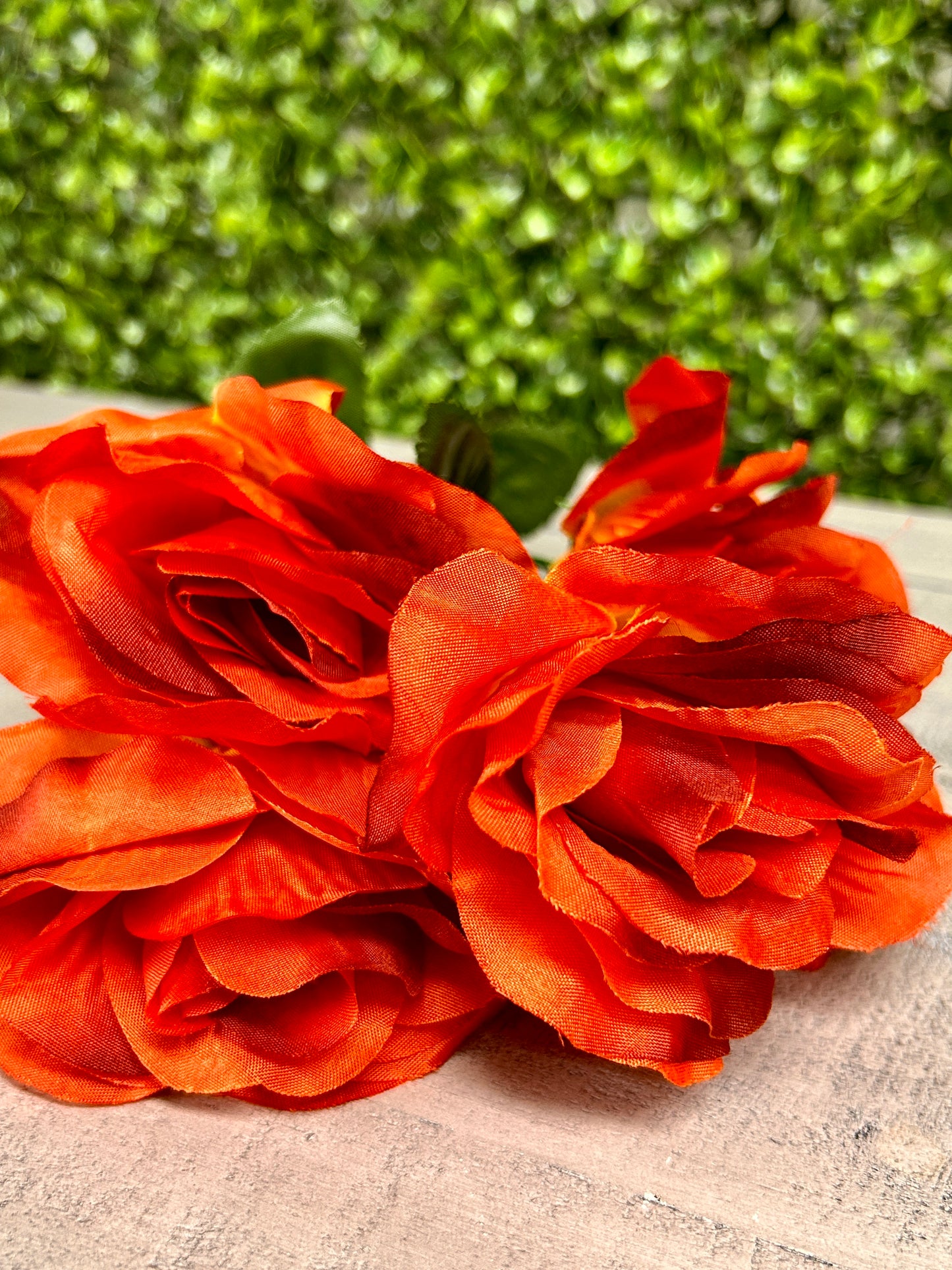 15 Inch Rust Rose Bush