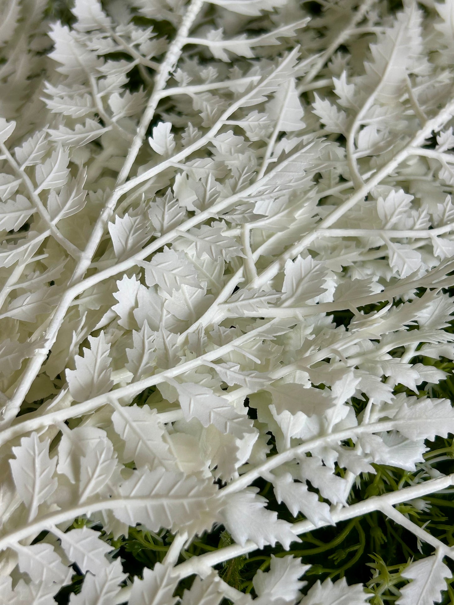 17 Inch White Forest Fern Bush