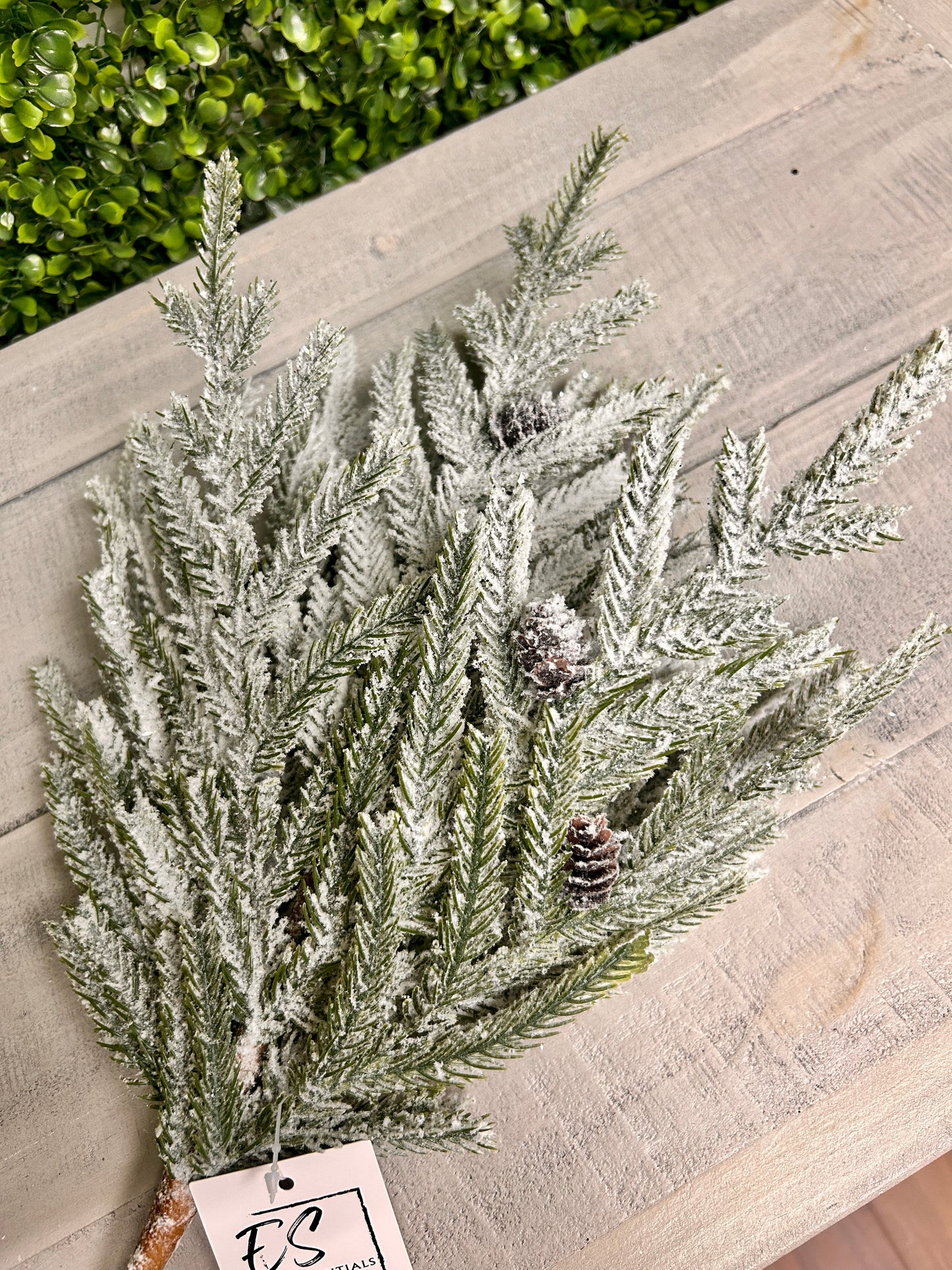 14 Inch Green White Flocked Long Needle Magnolia Cedar Spray