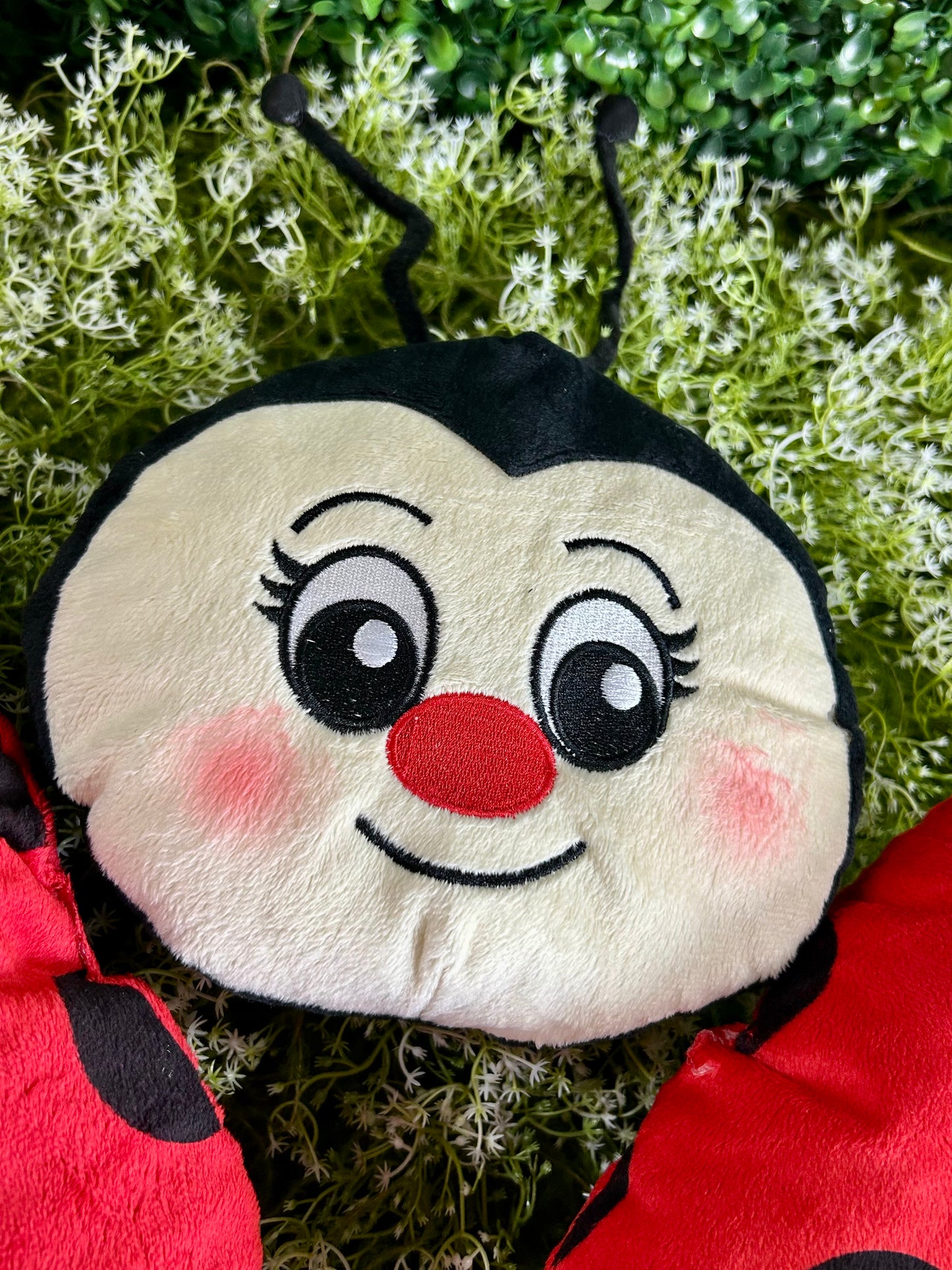 18.5 Inch Ladybug Decor Kit
