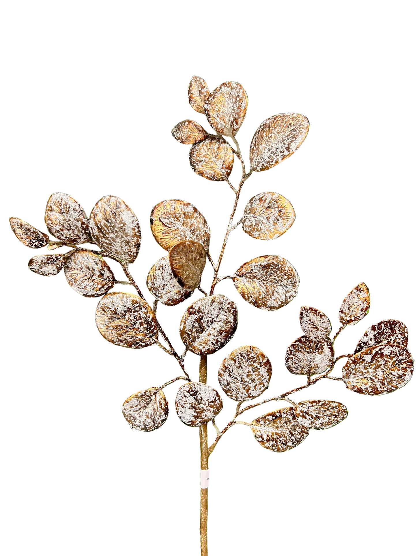 24 Inch Coffee Eucalyptus Leaf Spray With Frost