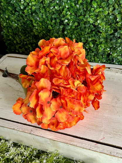 18 Inch Autumn Meadows Hydrangea Bush