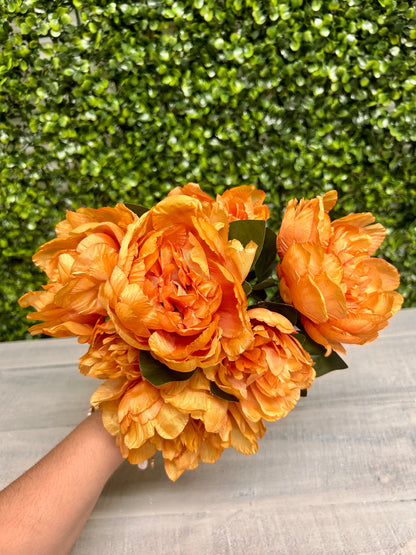 14 Inch Orange Peony Bush