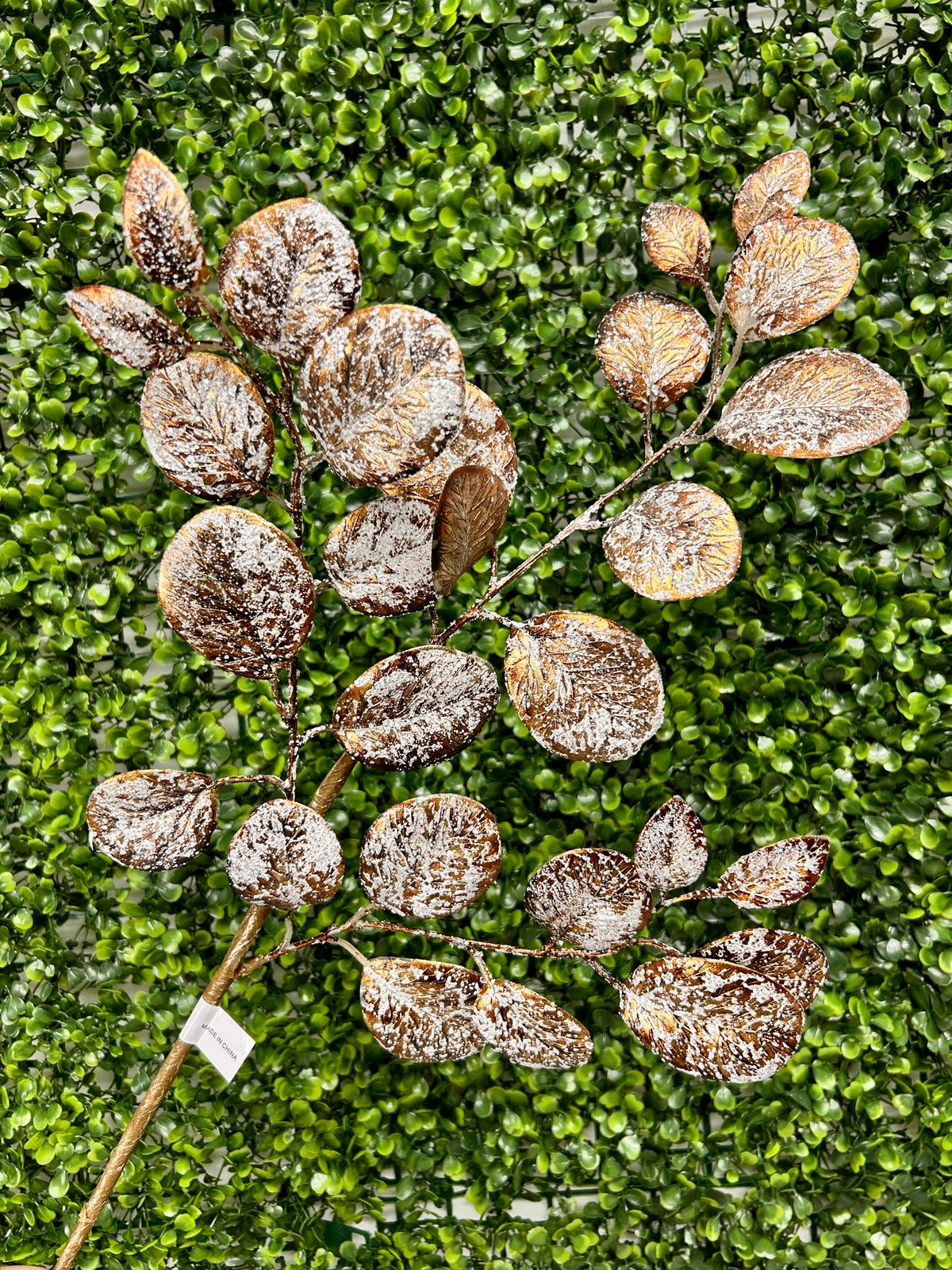 24 Inch Coffee Eucalyptus Leaf Spray With Frost