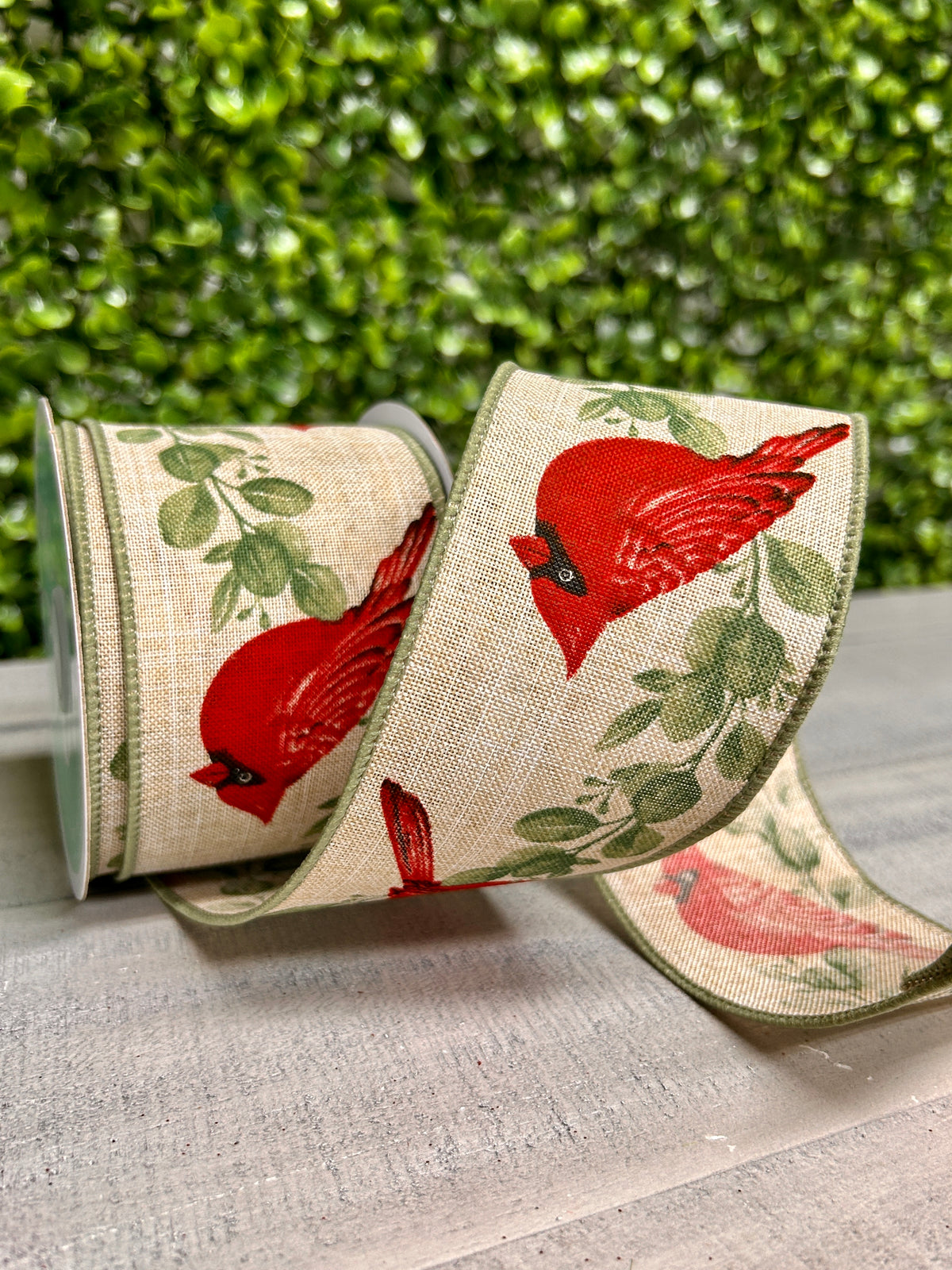 2.5 Inch By 10 Yard Cardinal With Eucalyptus Ribbon