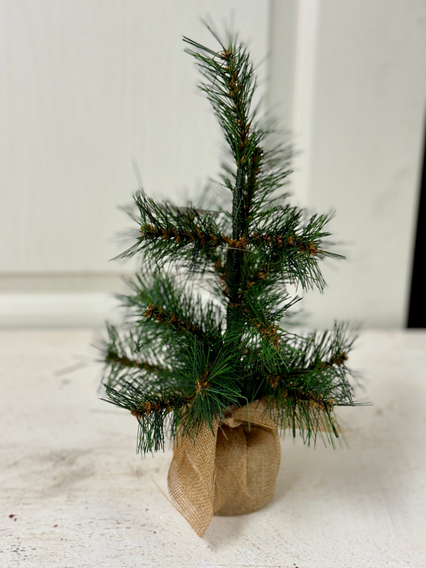 11 Inch Tabletop Mini Pine Tree