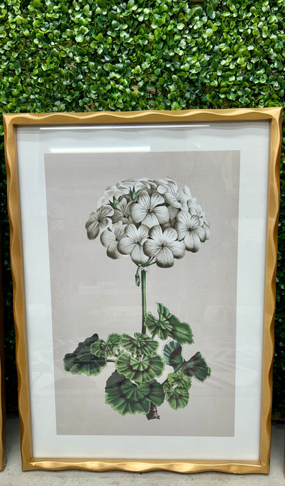 27.5 Inch Hydrangea In Gold Ornate Wood Frame Four Styles
