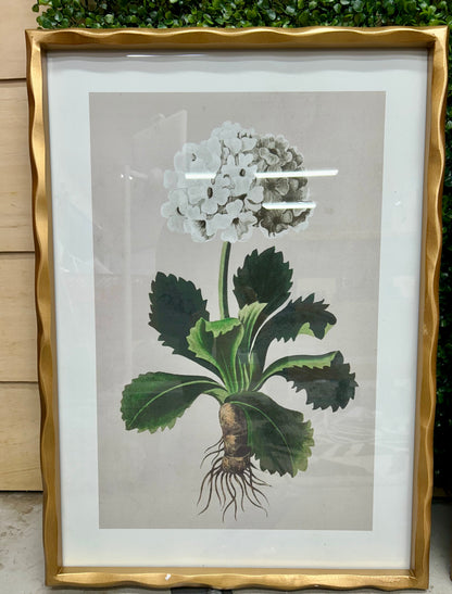 27.5 Inch Hydrangea In Gold Ornate Wood Frame Four Styles