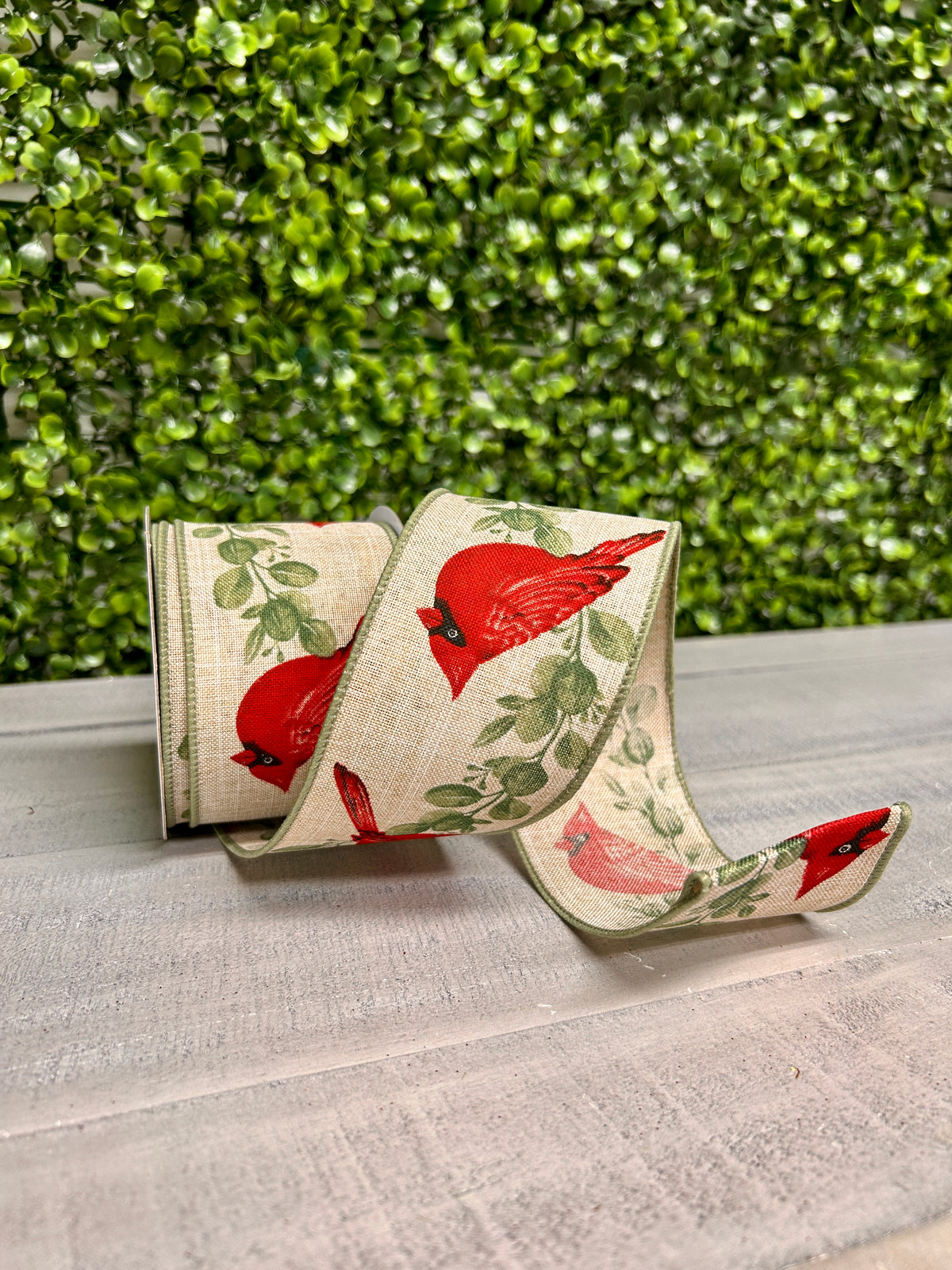 2.5 Inch By 10 Yard Cardinal With Eucalyptus Ribbon