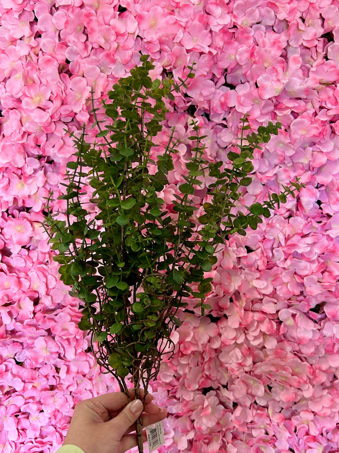 24 Inch Dark Green Mini Eucalyptus Bush