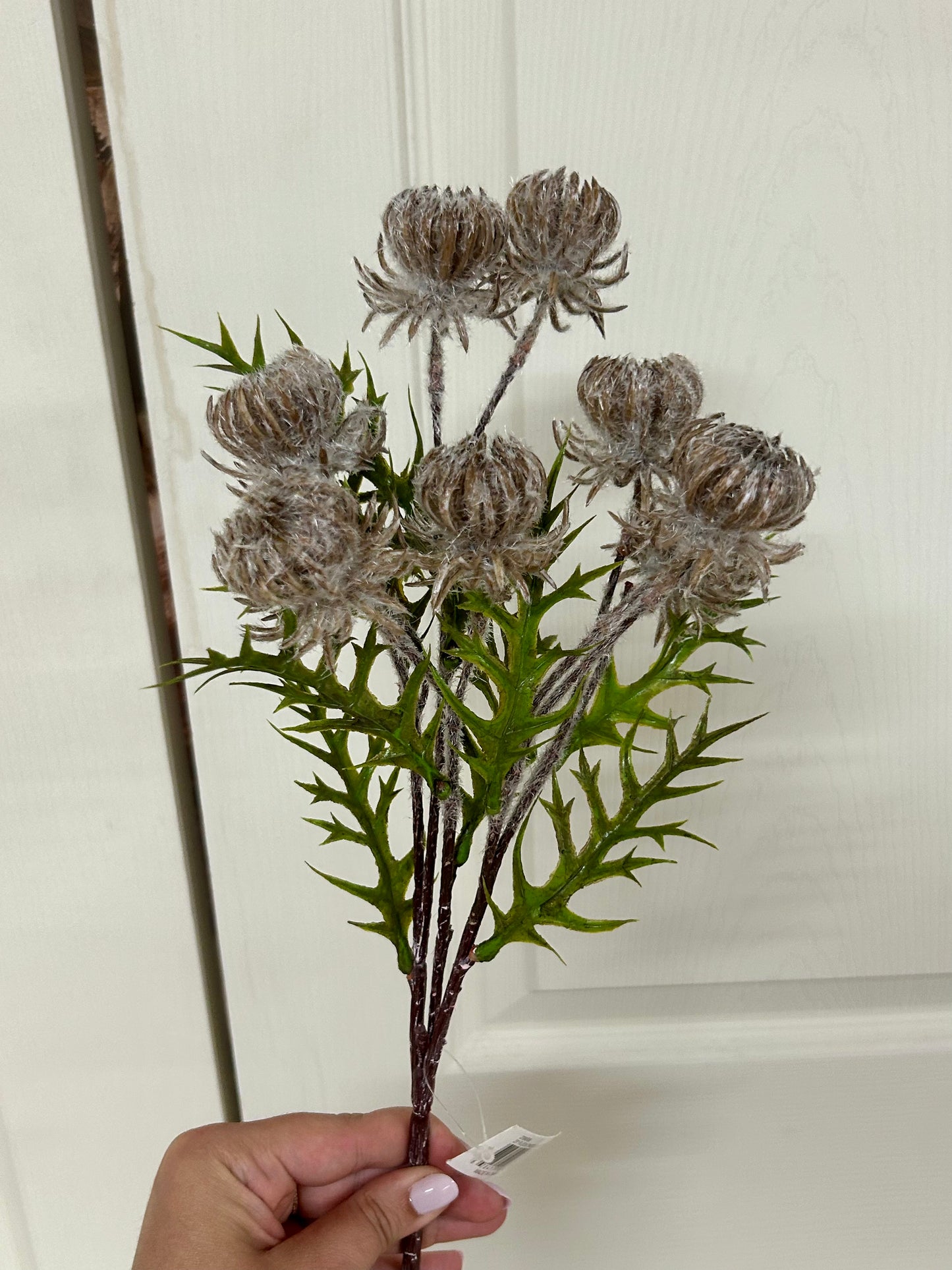 23 Inch Brown Thistle Leaf Spray