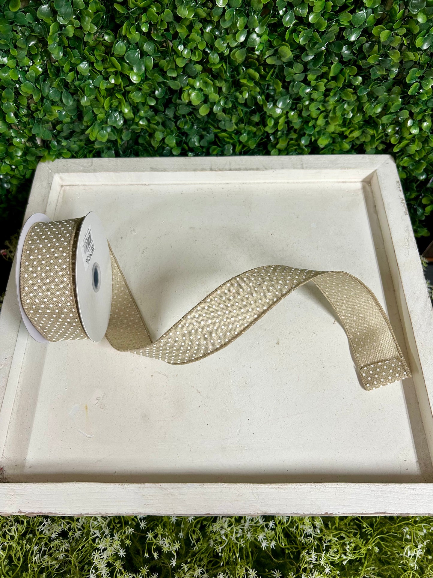 1.5 Inch By 10 Yard Natural And White Raised Swiss Dots On Royal Ribbon