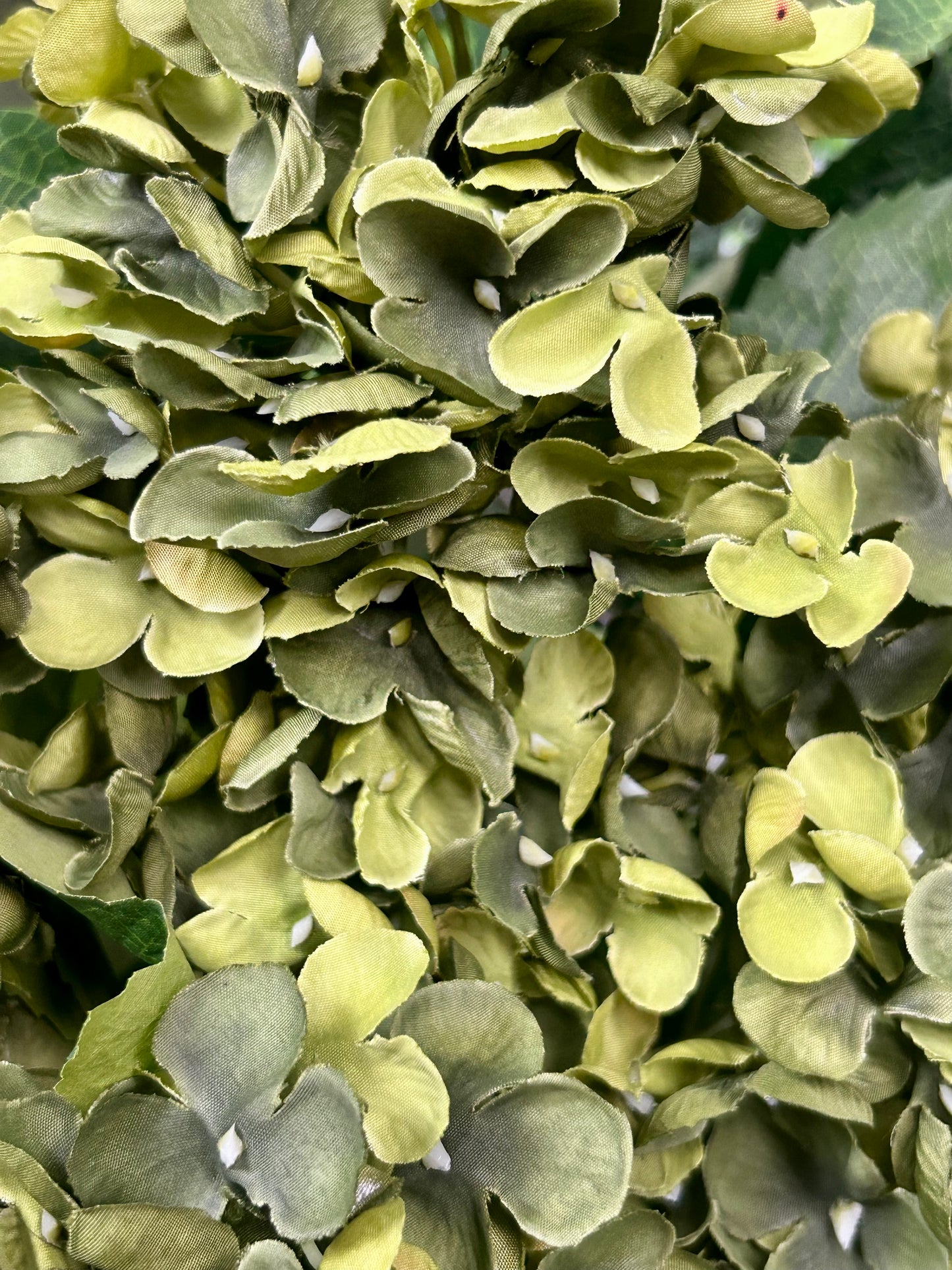 16 Inch Dark Green Hydrangea Bush