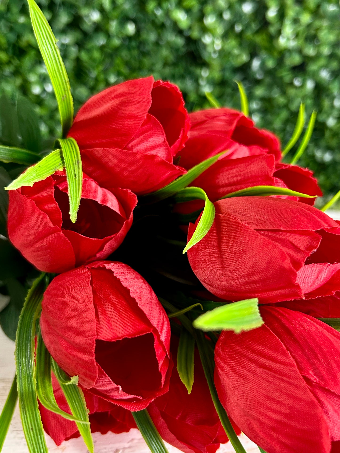 19 Inch Red Tulip Bush