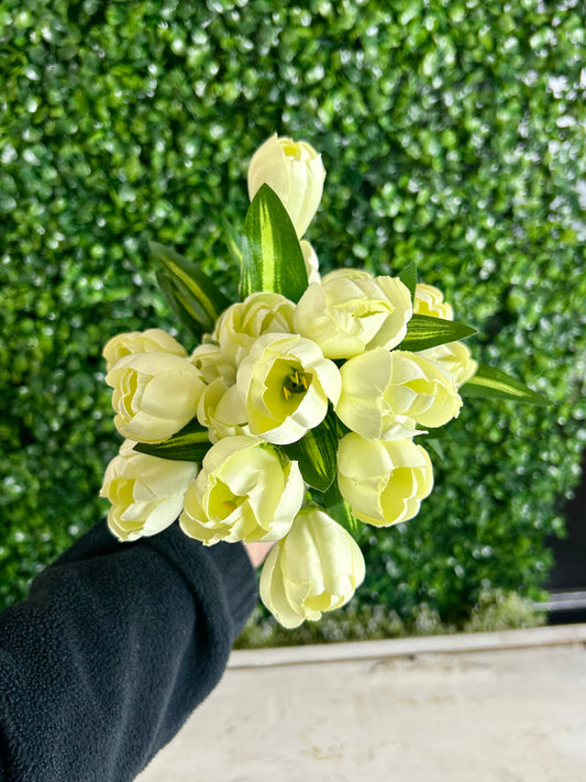 18.5 Inch Cream Crocus Bush