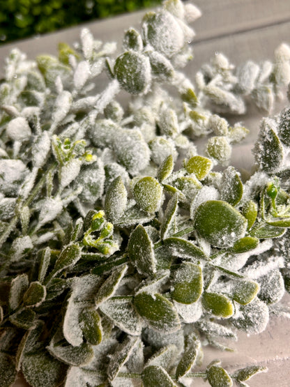 13 Inch Eucalyptus Snow Bush