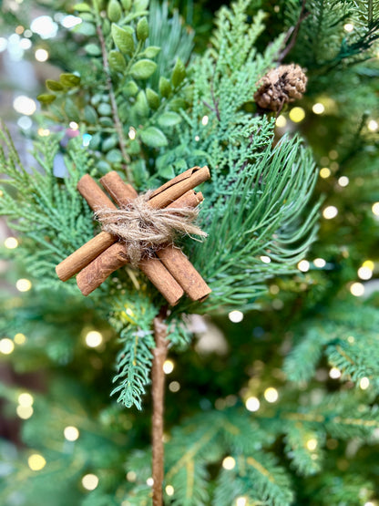 15 Inch Cedar And Cinnamon Spray