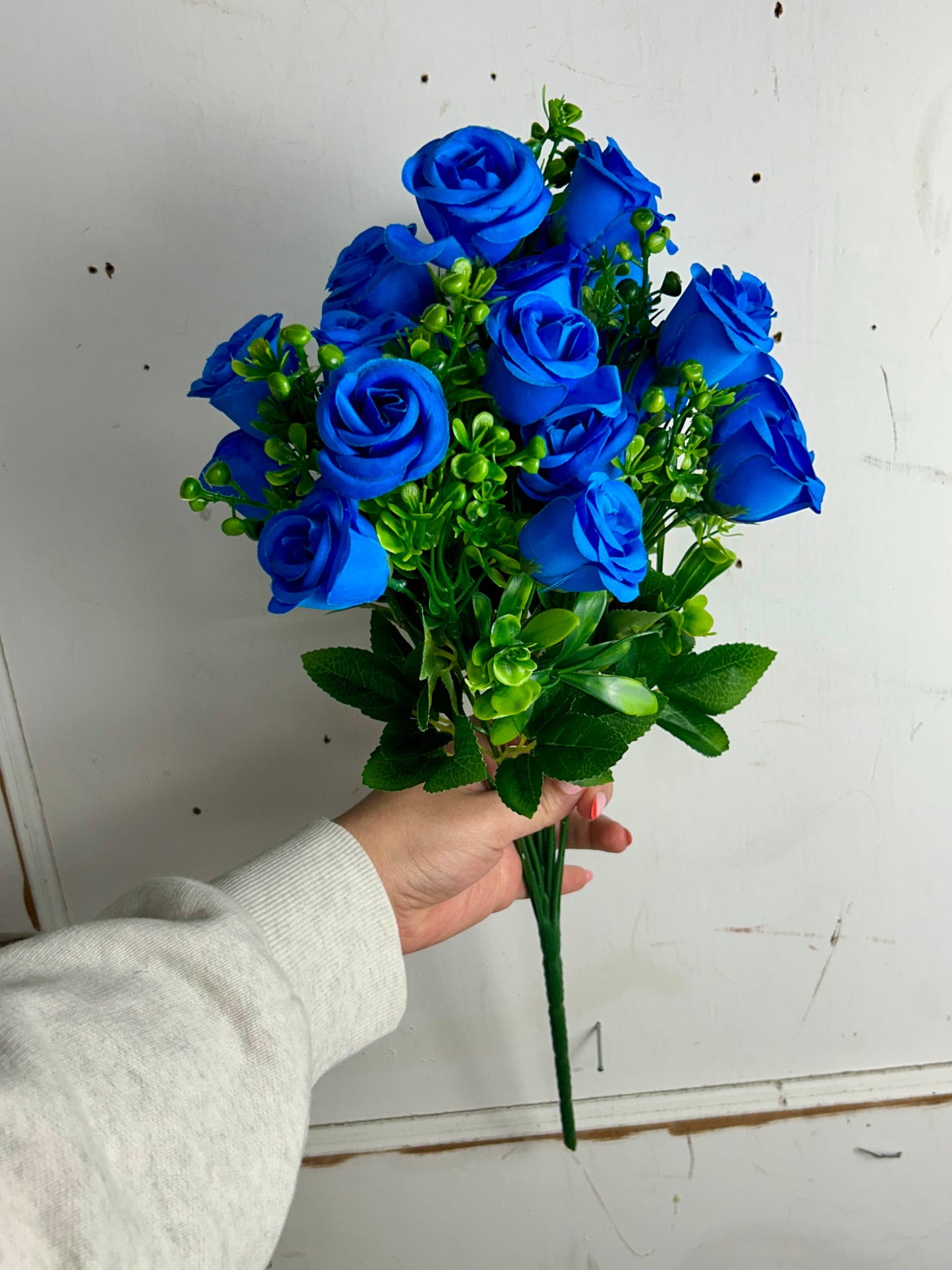 Royal Blue Rose Bud Bush