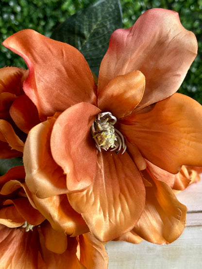 21 Inch Rust Magnolia Bush