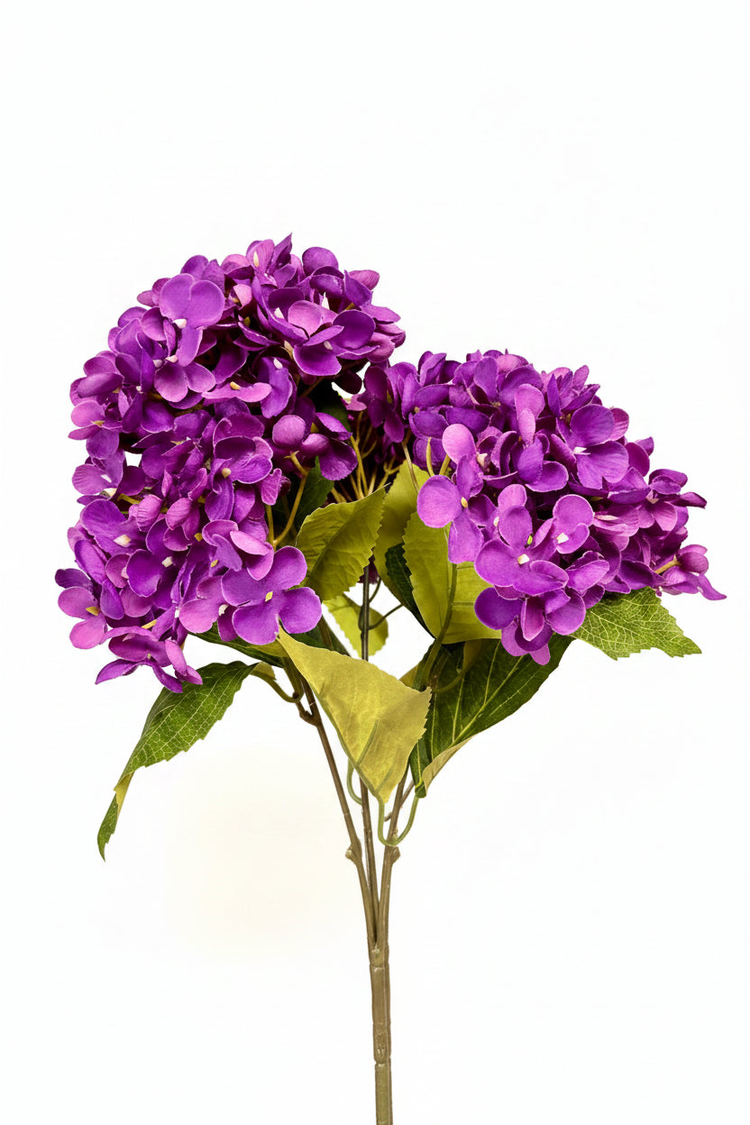 18 Inch Purple Hydrangea Bush