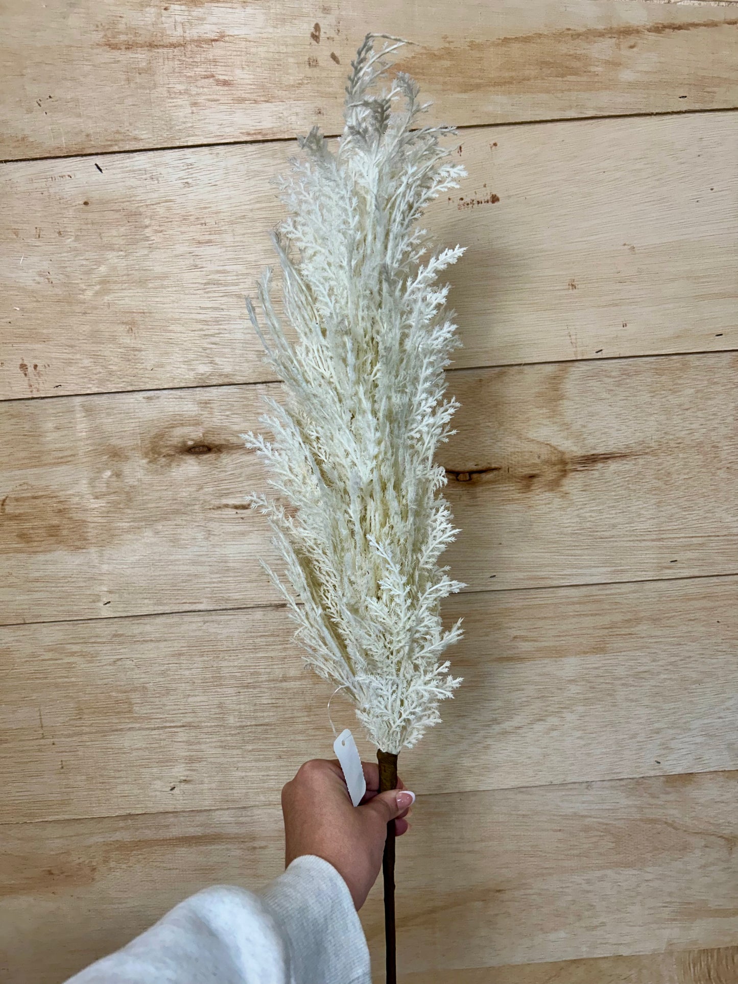 39 Inch Ivory Pampas Grass Plume Spray